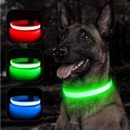 Glow LED Dog Collar